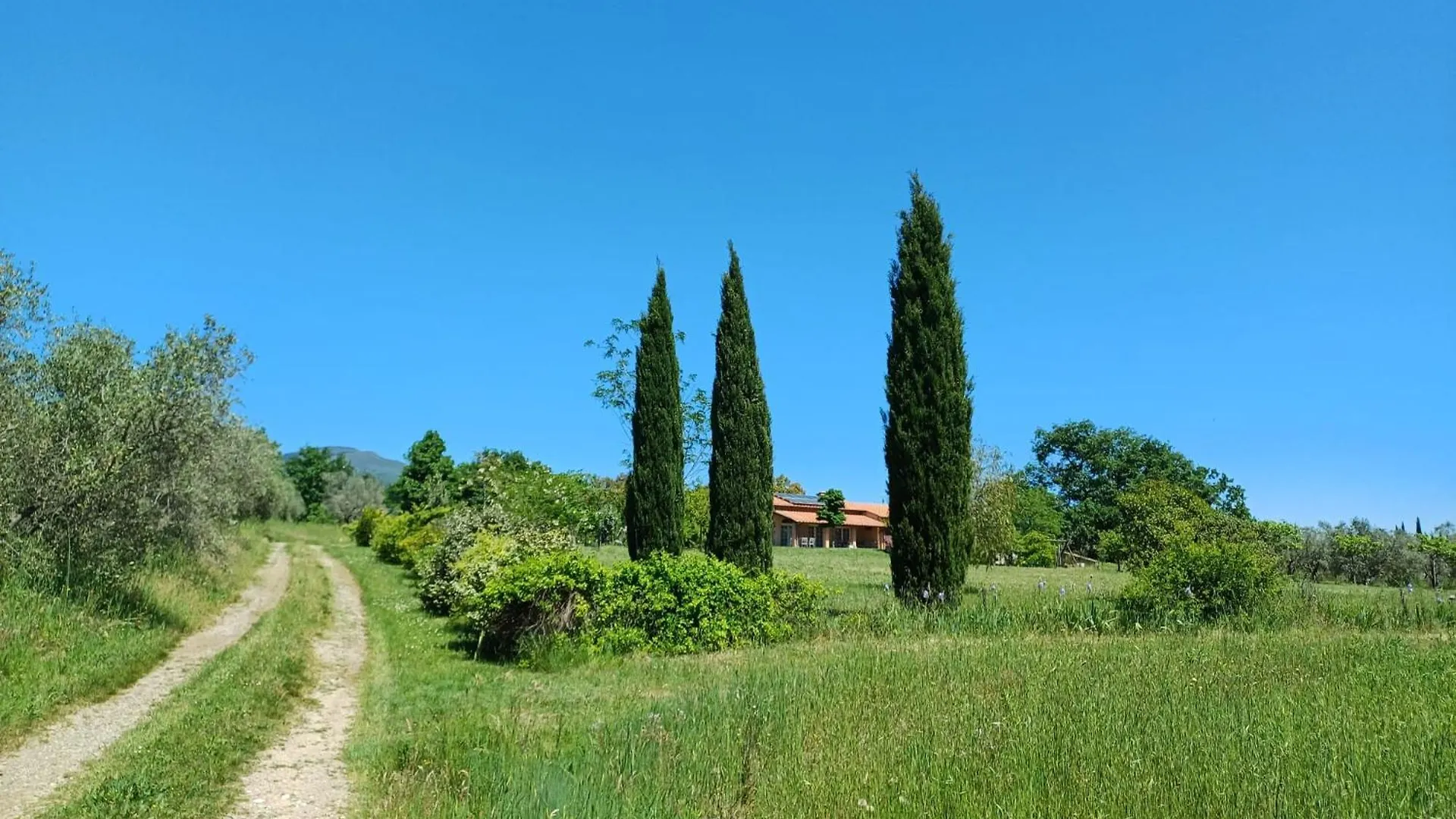 Holiday home Pietre Focaie Villa Montemassi