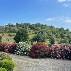  Alloggio per agriturismo Tenuta Podere Montauzzo